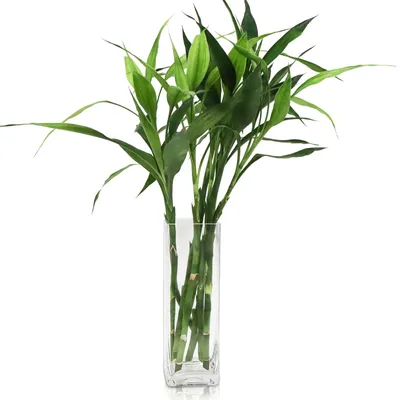 Vase aus Kristallglas, handgeblasen, 30 x 10 cm, transparent