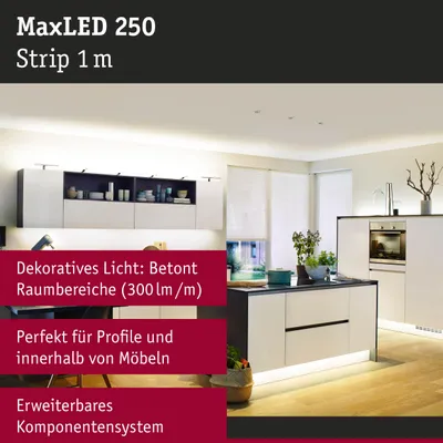 Zdjęcie produktu dla MaxLED 250 – przedłużka taśmy LED 1 m, 2700 K, 4 W, 300 lm/m, 2700 K