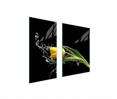 Productafbeelding van Glazen beschermplaat, 75x52 cm, tulpmotief