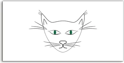 Produktbild von Coloray Acrylbild 120x60  Wandbild Acrylbilder Foto groß Katze Tiere