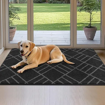 Immagine prodotto di Tappeto d'ingresso 80 x 120 cm, colore antracite, lavabile, antiscivolo, assorbente