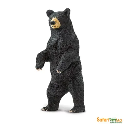 Produktbild von Safari Ltd 181629 Schwarzbär 11 cm Serie Wildtiere