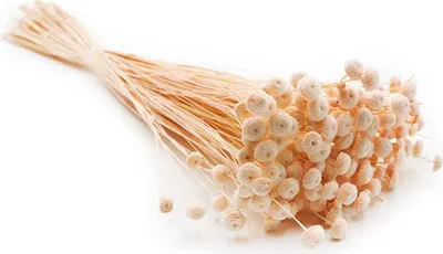 Produktbild von Botao Amarelino Getrocknete - (Amarelinho) - Pfirsich