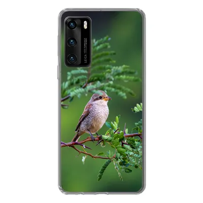 Produktbild von MuchoWow® Handyhülle Schutzhülle Hülle für Huawei P40 Vogel - Baum - Wald Silikon Softcase Handy Hülle - Handytasche
