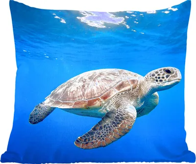 Produktbild von MuchoWow® Zierkissen Sofakissen Wohnzimmer Dekokissen 50x50 cm Schildkröte im Ozean - Komfort - Sofakissen