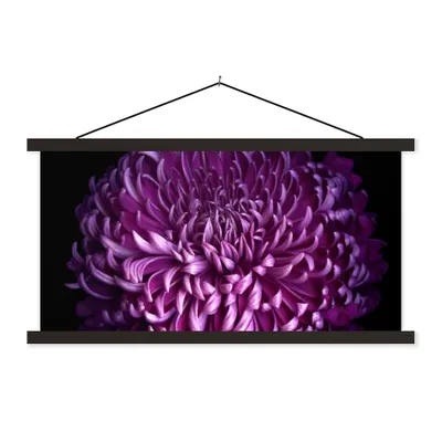 Produktbild von MuchoWow® Textilposter Die Blätter einer lila Blume auf schwarzem Hintergrund 150x75 cm mit schwarzem Rahmen - Posterleiste