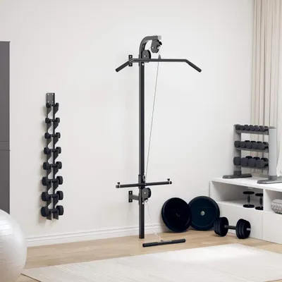 A home gym setup with a wall-mounted lat pulldown machine, dumbbells, and weight plates.