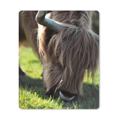 Produktbild von MuchoWow® Mauspad Mousepad Schottischer Highlander - Hörner - Sonne 19x23 cm - Mousepads - Maus Mat - Pad - Mausunterlage - Mauspads - Spielen