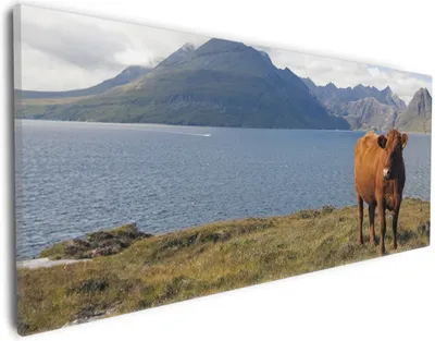 Produktbild von Wallario Premium Leinwandbild Kuh in den Bergen in Größe 30 x 75 cm