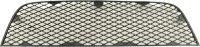 Produktbild von FAST Lüftungsgitter Grill Stoßfänger für FIAT Doblo Kombi (119, 223)