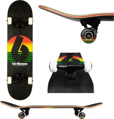 Image de Birdhouse niveau 3 Sunset Rasta 7.75