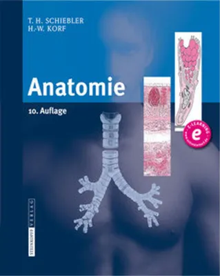 Obrázek produktu pro Anatomie
