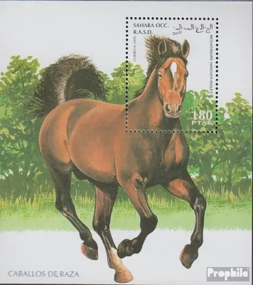 Produktbild von Briefmarken Sahara 1995 Mi Ausgabe der Exilregierung ohne Gültigkeit im int. Postverkehr Nr.8 postfrisch Pferd