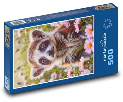 Zdjęcie produktu dla Puzzle 500 Lemur wśród kwiatów - martinpuzzle