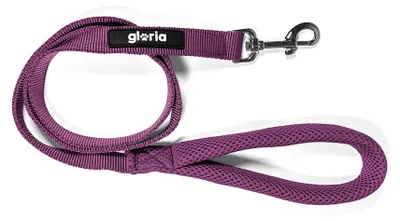 Image de Laisse pour chien Gloria Lila S
