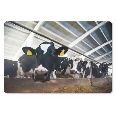 Produktbild von MuchoWow® Mauspad Mousepad Kuh - Bauernhof - Stall 27x18 cm - Mousepads - Maus Mat - Pad - Mausunterlage - Büroartikel - Desk Matten