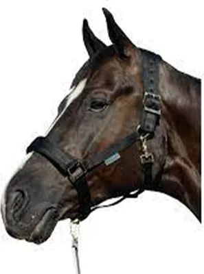 Obrázek produktu pro Bucas Halfter Comfort Halter Black/Black Cob