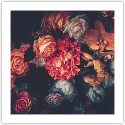 Produktbild von Poster - Poster ohne Rahmen - Blumenstrauß Blumen Rosen - 50x50 cm - Wand Bild - Wanddeko - Wandbilder - Kunstposter - Wandposter - Bilder - Kunstdruck - Wanddekoration - Wandbild - P2XAC50x50-5002