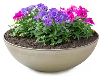 Image de Jardinière ronde ventrue de 25 cm pour l'extérieur, beige champagne