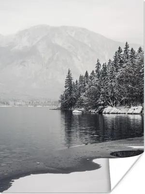 Produktbild von MuchoWow® Poster Wasser - Winter - Natur - Kiefernbaum 60x80 cm - Schlafzimmer Dekoration