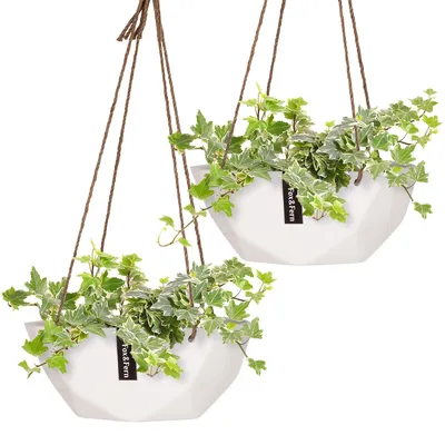 Produktbild von Fox & Fern Blumenampel für Blumentopf, Leichte Blumenampel für Innen, 2er-Set Blumentopf Hängend, Moderner Hängetopf für Pflanzen, Geometrischer Hängender Topf für Wohnzimmer, Wand & Fenster, 12 cm