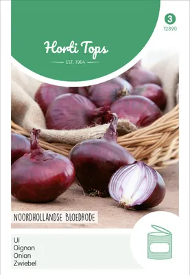 Zdjęcie produktu dla Cebula holenderska ciemnoczerwona | Nasiona cebuli od Hortitops