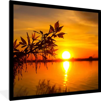 Produktbild von MuchoWow® Gerahmtes Poster Sonnenuntergang - Wasser - Pflanzen - Orange 40x40 cm - Poster mit Schwarzem Bilderrahmen Wandposter Rahmen Foto Bilder - Mit Rahmen - Wanddekoration Schlafzimmer