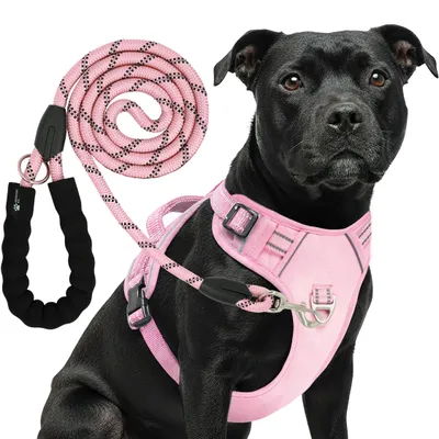 Produktbild von Reichstadt Hundegeschirr 25RSP083-4 Pink M