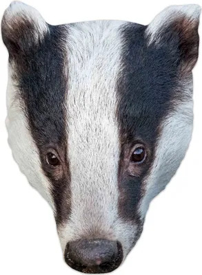 Image de Masque d'animal - Masques - Badger