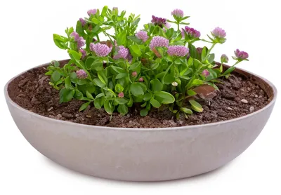 Image de Jardinières pour l'extérieur Jardinières décoratives rondes sable beige 20 cm