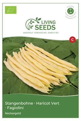 Produktbild von Stangenbohne Neckargold 13.6g Saatgut von Living Seeds