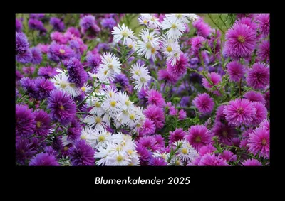 Produktbild von Blumenkalender 2025 Fotokalender DIN A3