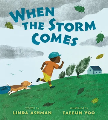 Produktbild von When the Storm Comes