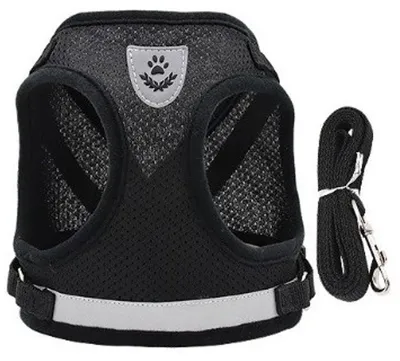 Imagen del producto de Go Go Gadget – "Correa para gatos | Collar para gatos de color  | Fácil de poner | Talla M | Fácil de colocar y quitar"