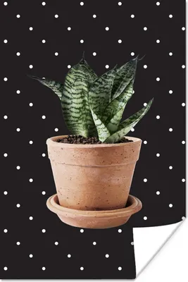 Produktbild von MuchoWow® Poster Pflanze - Blumentopf - Dots 20x30 cm - Papierdruck