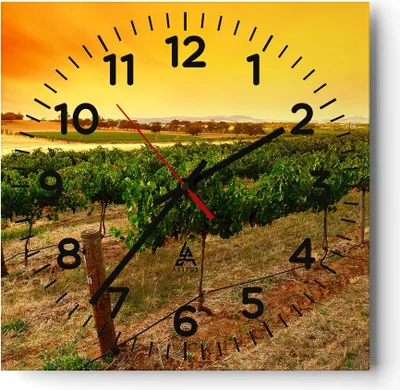 Produktbild von Wanduhr - Quadrat - Glasuhr - Landschaft Weinberg Sonnenuntergang - 40x40cm - Schleichendes Uhrwerk - Lautlos - zum Aufhängen bereit - Dekoration Modern - Wanddekoration aus Glas - C4AC40x40-0116