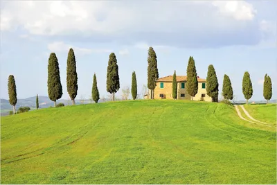 Produktbild von Wallario Poster - Villa auf einem Hügel in der Toskana, Kunstdruck Größe: 61 x 91,50 cm