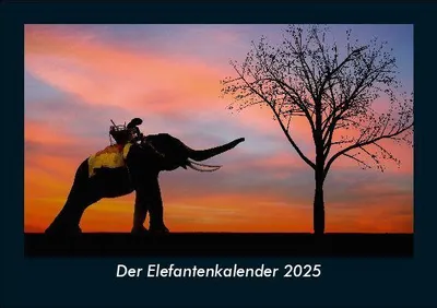 Produktbild von Der Elefantenkalender 2025 Fotokalender DIN A5