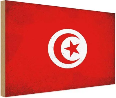 Produktbild von vianmo Holzschild 12x18 cm Tunesien Tunisia Vintage Flagge Fahne Wappen