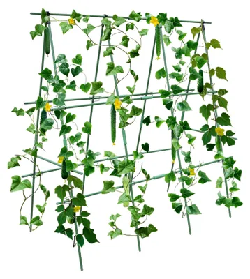 Produktbild von Rankhilfe für Gurken 120x120cm, Halter für Tomatenpflanzen und Kletterpflanzen, geeignet für Gemüse, Obst, Blumen und Rankpflanzen