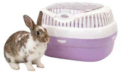 Obrázok produktu pre Prepravná klietka Ferplast pre škrečky a iné malé hlodavce, model Aladino, veľkosť L