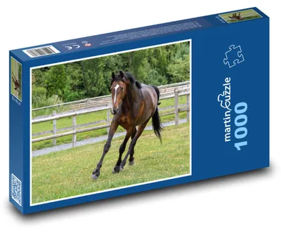Obrázek produktu pro Puzzle 1000 Kůň na Louce - martinpuzzle