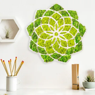 Obrázok produktu pre Wallity, Daisy- NTR1105, Zelená,Biela, Ostatné bytové dekorácie, 44 x 1,6 x 44 cm, 100% MDF / mach (hrúbka: 9 mm)