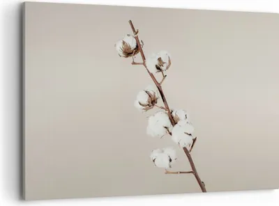 Produktbild von Bild auf Leinwand - Leinwandbild - Einteilig - Baumwolle Zweig Boho - 100x70cm - Wand Bild - Wanddeko - Wandbilder - Leinwanddruck - Bilder - Wanddekoration - Leinwand bilder - AA100x70-4730