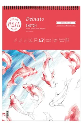 Productafbeelding van CWR Debutto, schetsboek met kunstpapier, 120 g/m², 50 bladzijden