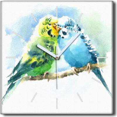 Produktbild von Coloray Uhr auf Leinwand 30x30 cm Wand Uhr Dekoration Wohnzimmer Segeltuch weiße Zeiger -Aquarelle Vögel Tier.