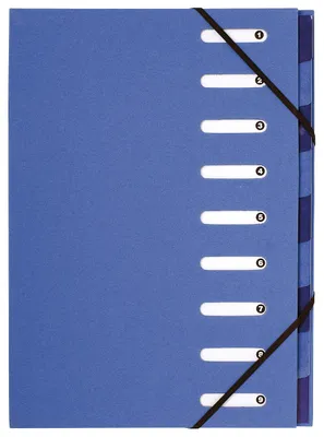 Image de Exacompta Classeur Forever 52982E 9 compartiments bleu/blanc