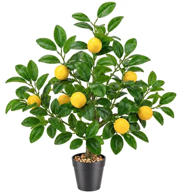Produktbild von TRANKIELO® – Künstlicher Zitronenbaum, 51 cm – Dekorativer Pflanzentopf mit realistischen Blättern – Perfekt für Zuhause und Büro