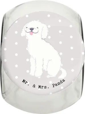 Produktbild von Mr. & Mrs. Panda Dose Kleinpudel Moment L 870ml - Grau Pastell - Geschenk, Pudel, schraubglas, Leckerli Glas, Vorratsglas, Vorratsbehälter, Keksdose