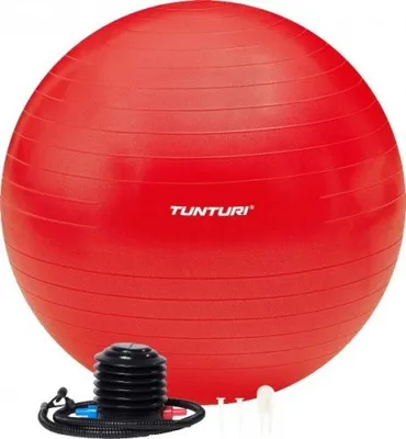 Zdjęcie produktu dla Piłka fitness Tunturi Anti Burst z pompką - Piłka do jogi 75 cm - Piłka do pilatesu - Piłka ciążowa - Waga użytkownika 220 kg - Zawiera aplikację treningową - Niebieski